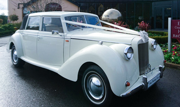 Ivory Royale Windsor